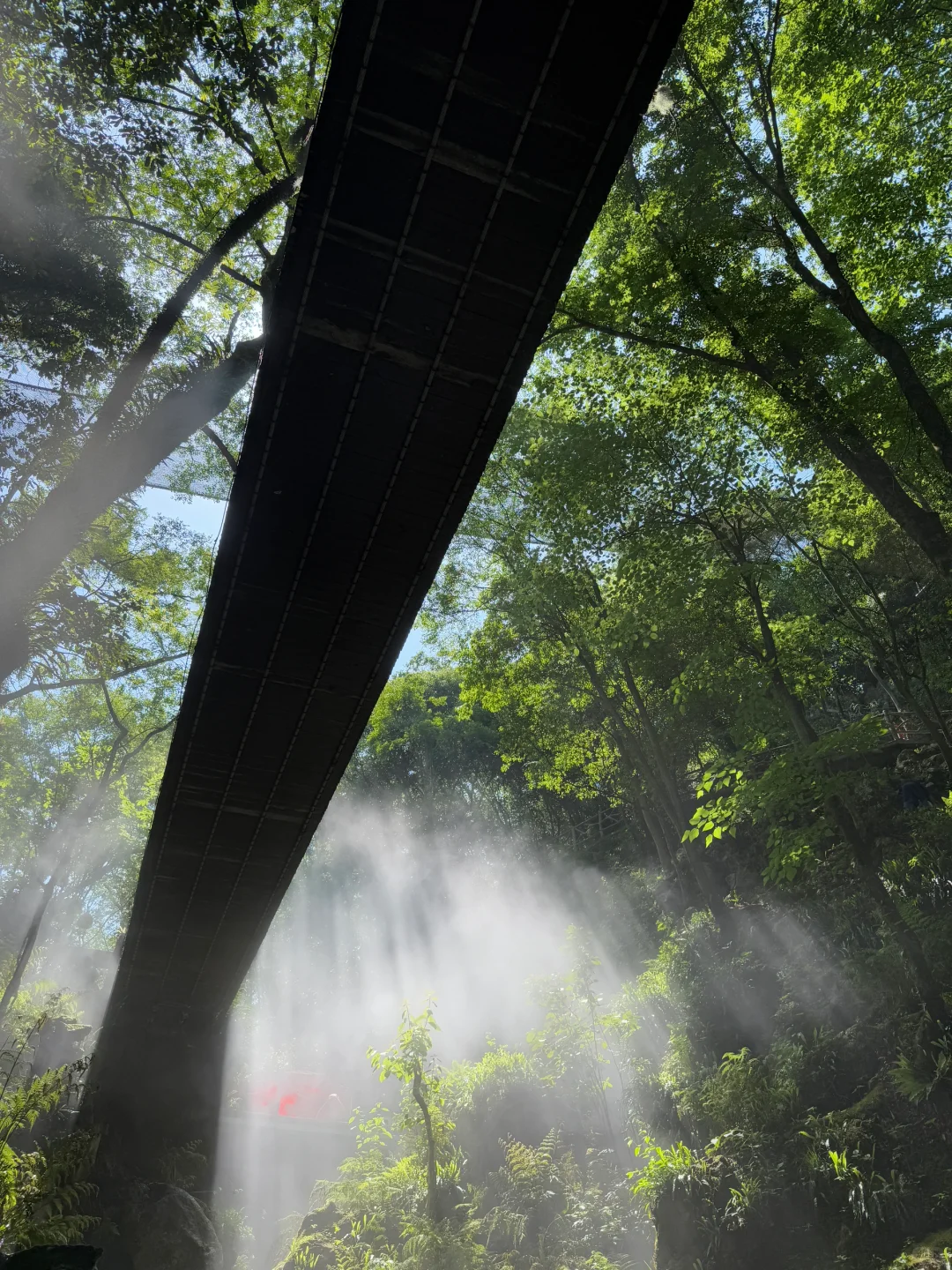 小红书跟风zui成功的一次🍃！！！