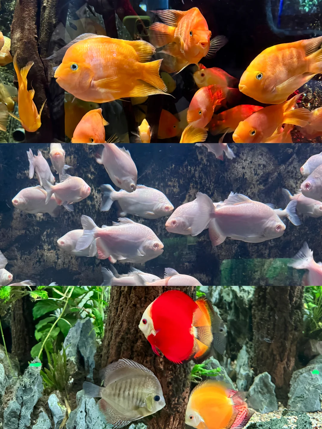 威海❗️你不宣传这里真的糊涂啊…😭