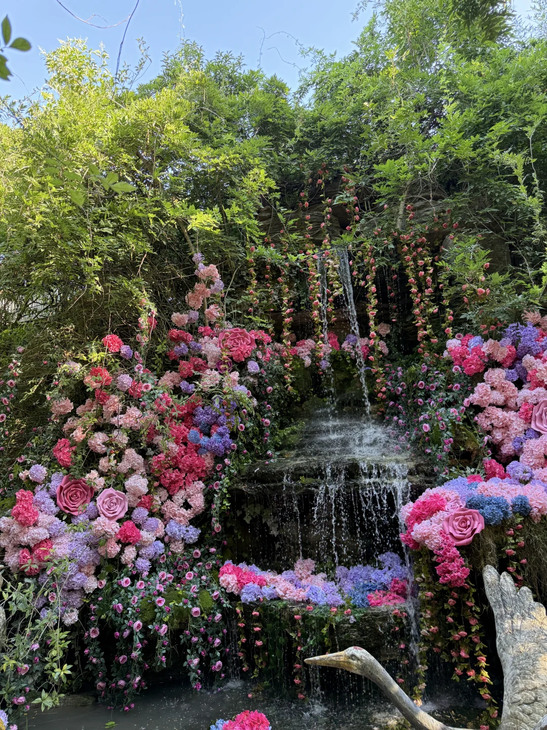 南阳这儿是真的太好拍太仙了！🌸