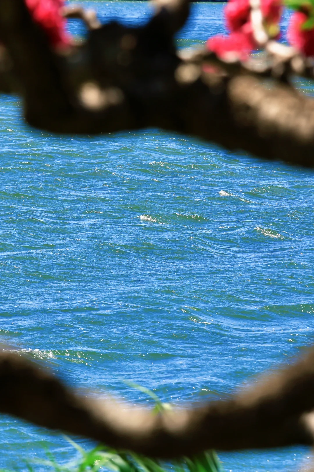 颐和园，太美了。