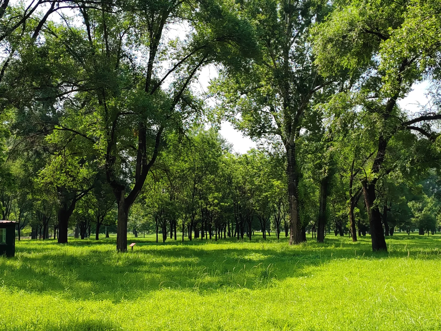 自驾游DAY8｜承德避暑山庄