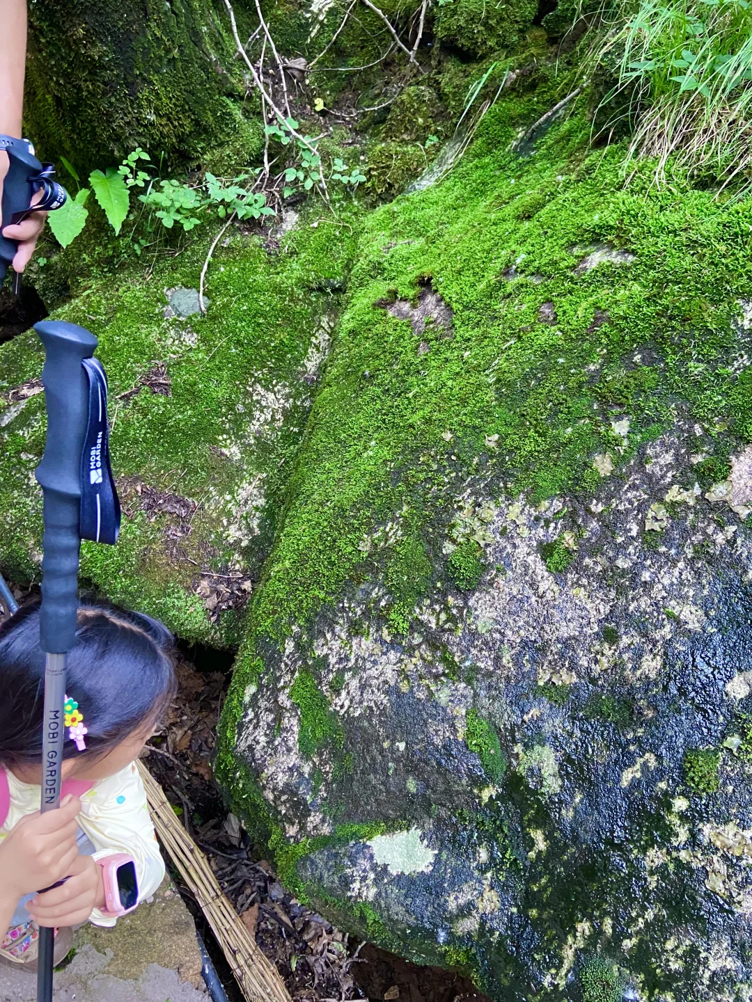 18°C的石家庄，岂止是避暑