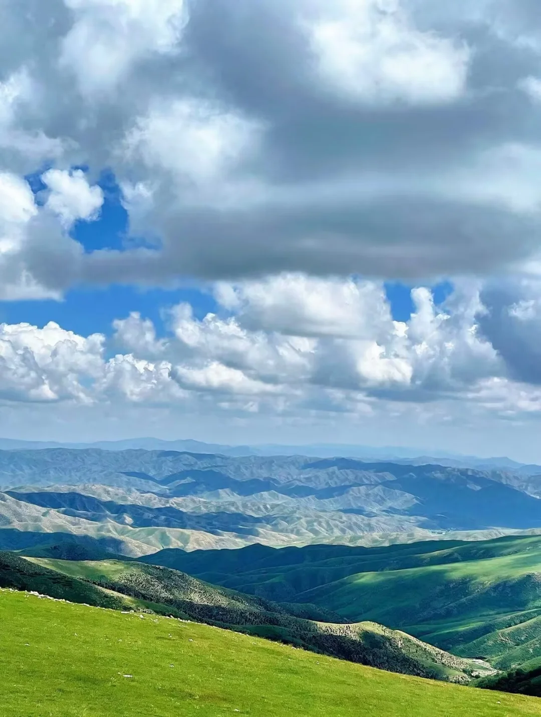 去呼和浩特旅游，保姆级攻略已做好❗