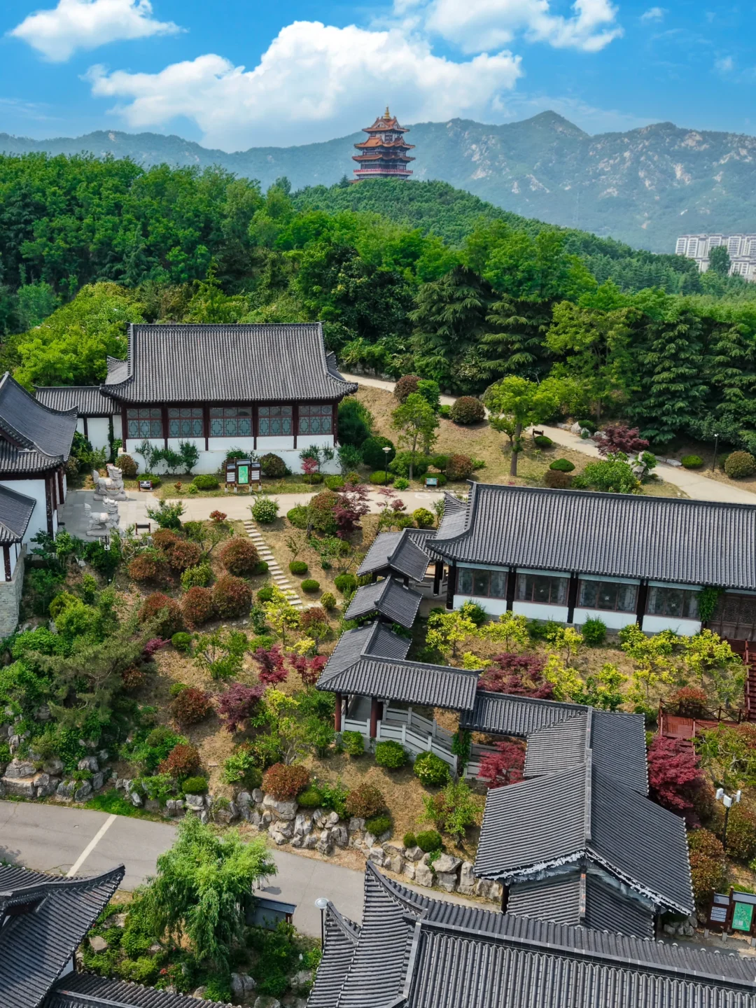 威海❗️你不宣传这里真的糊涂啊…😭