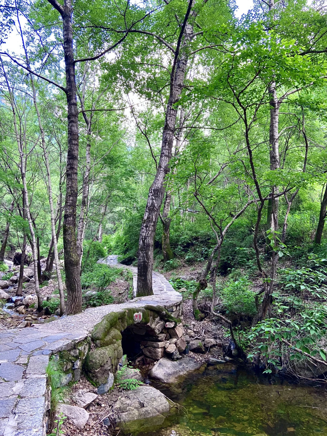 18°C的石家庄，岂止是避暑