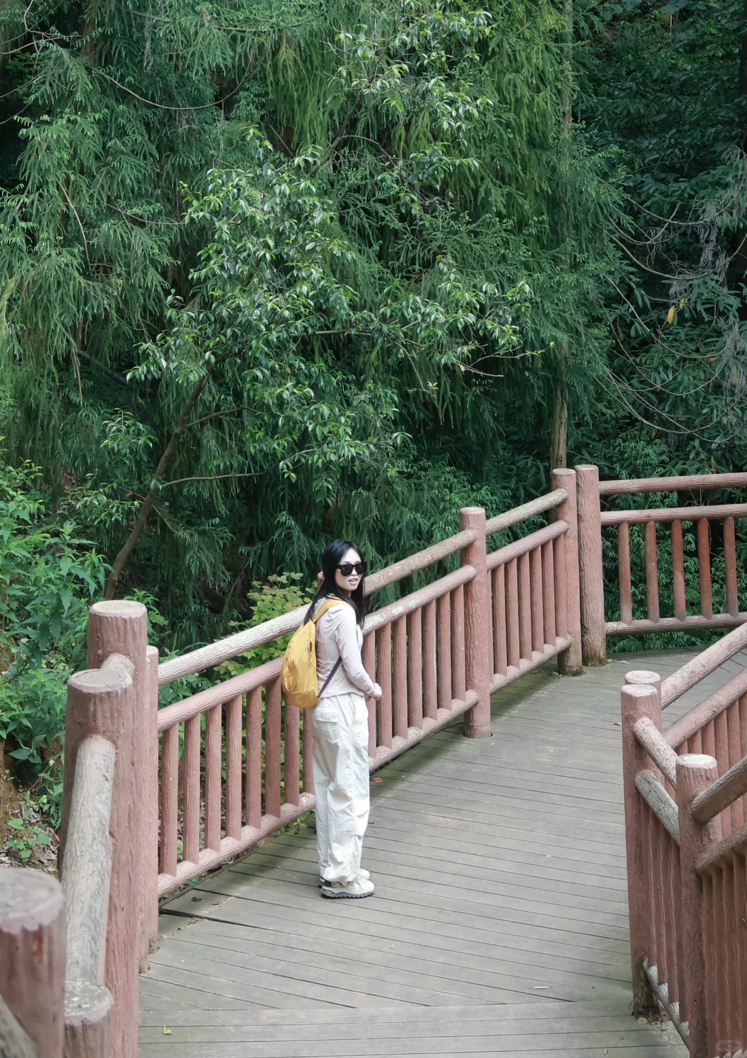 📍雅安·蒙顶山||茶韵千年，云游蒙顶