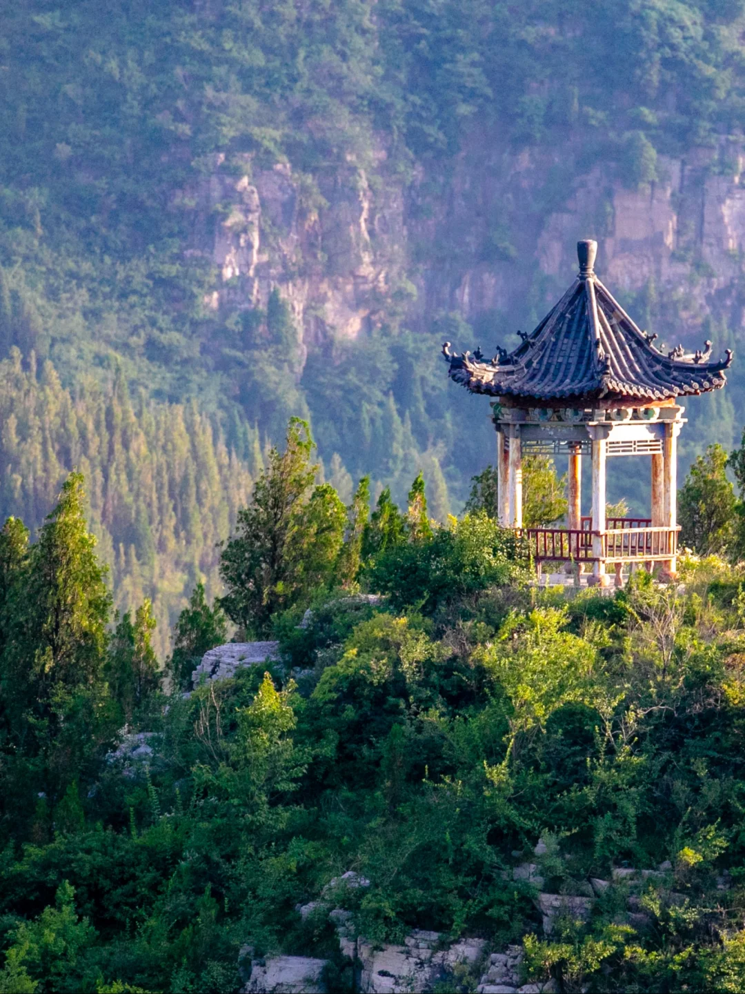 夏天请停止对我的“烤验”🍃深山避暑指南