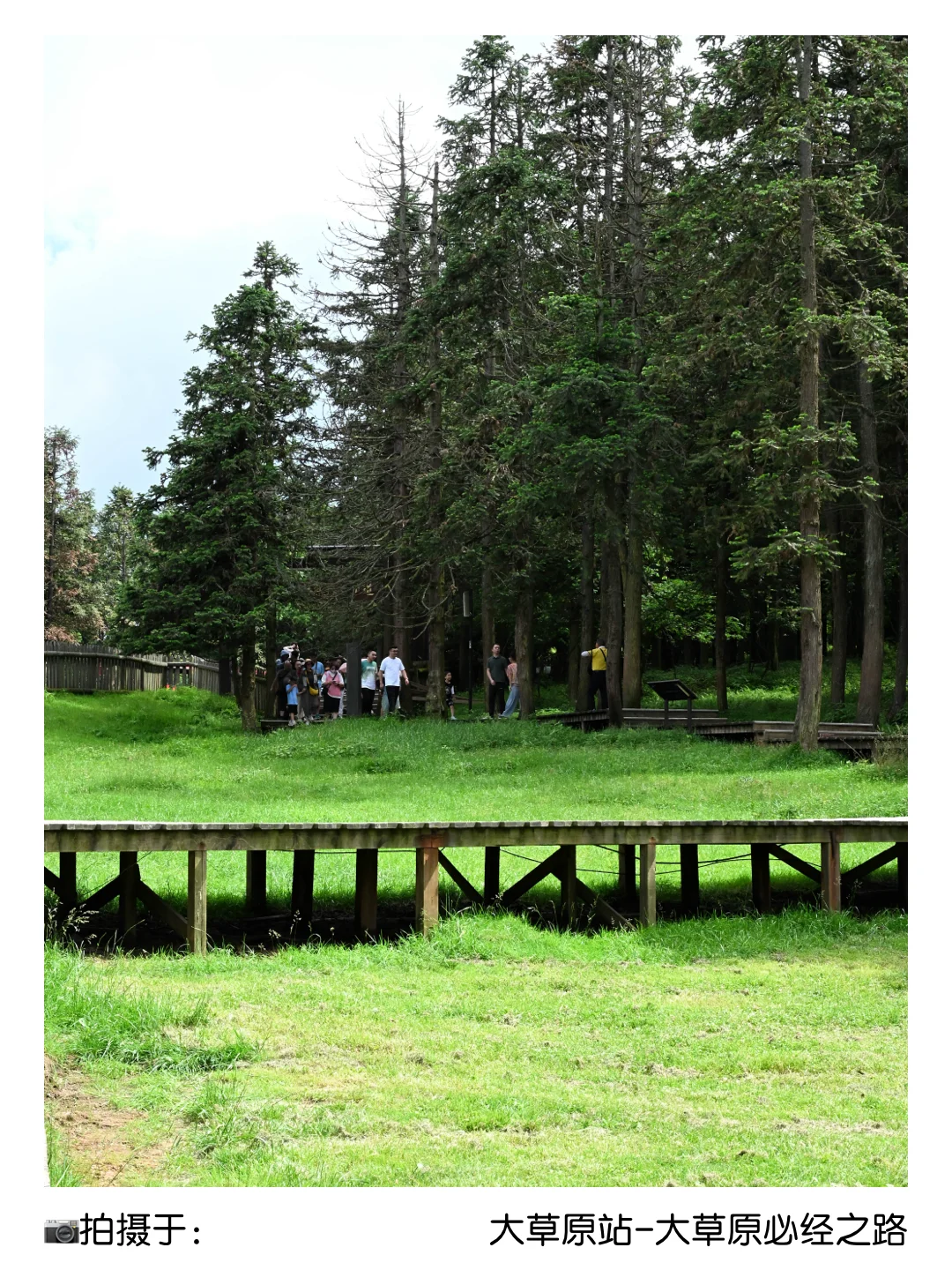 二孃叫我📣暑假来重庆避暑？