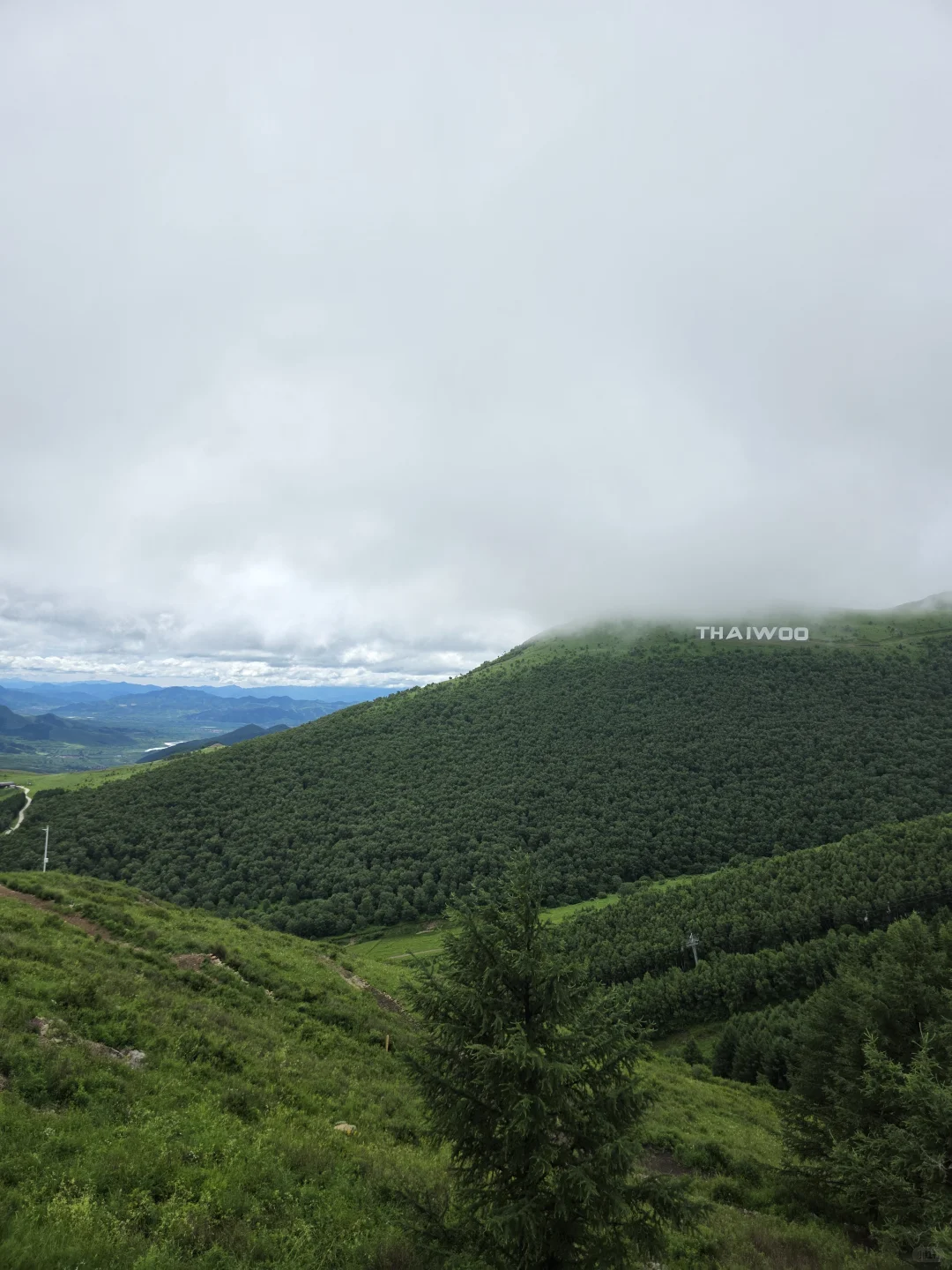 热怕了的牛马已回，崇礼避暑小镇怎么选？