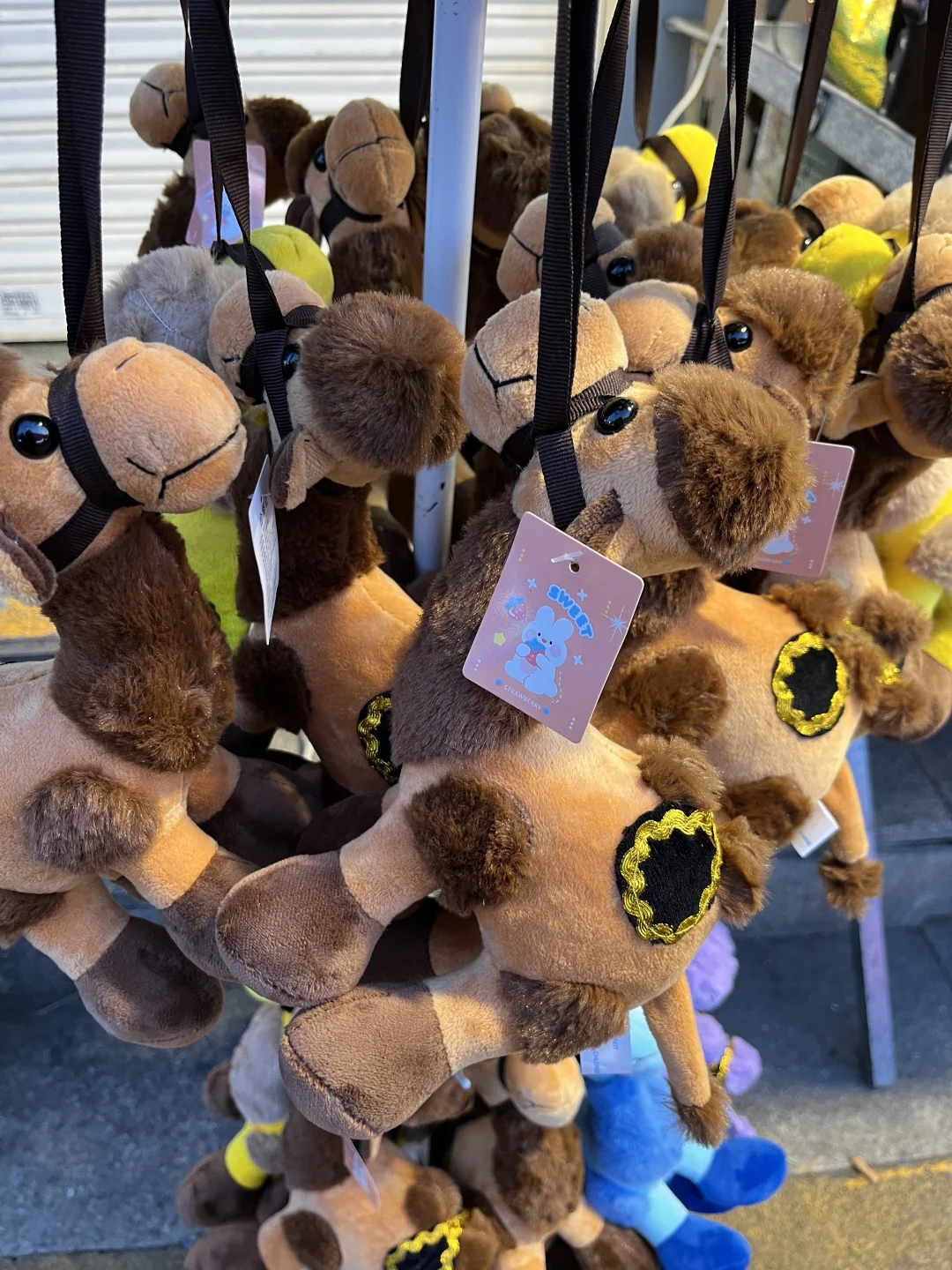 逃离北京计划｜内蒙古三日游｜超全旅游攻略