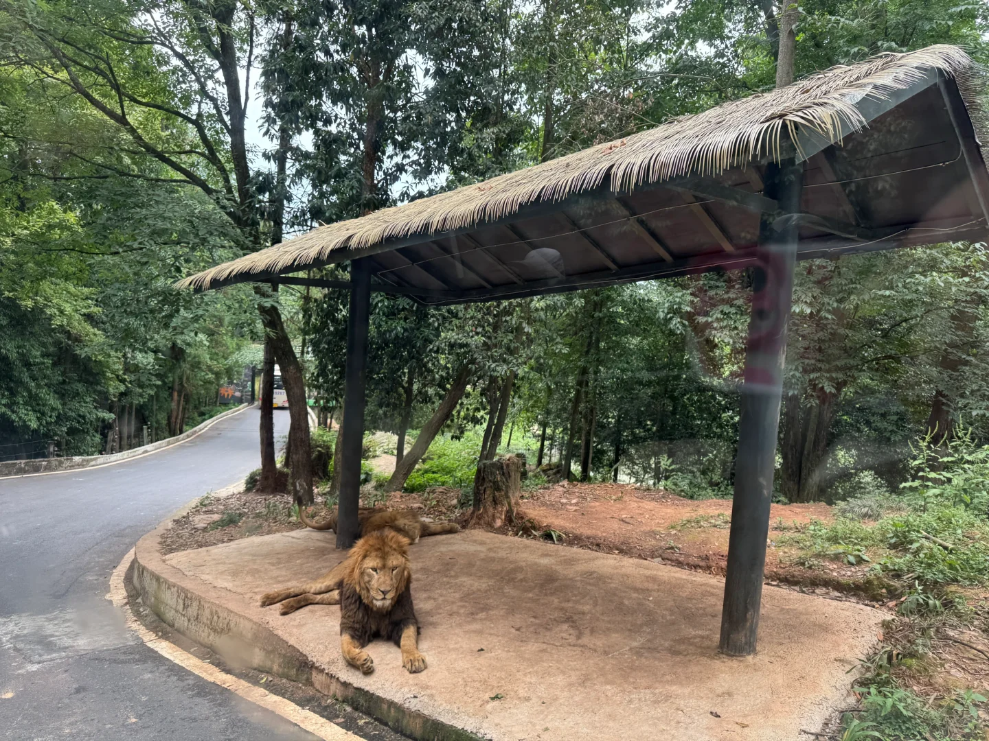 碧峰峡会惩罚每一个不做攻略的家长!