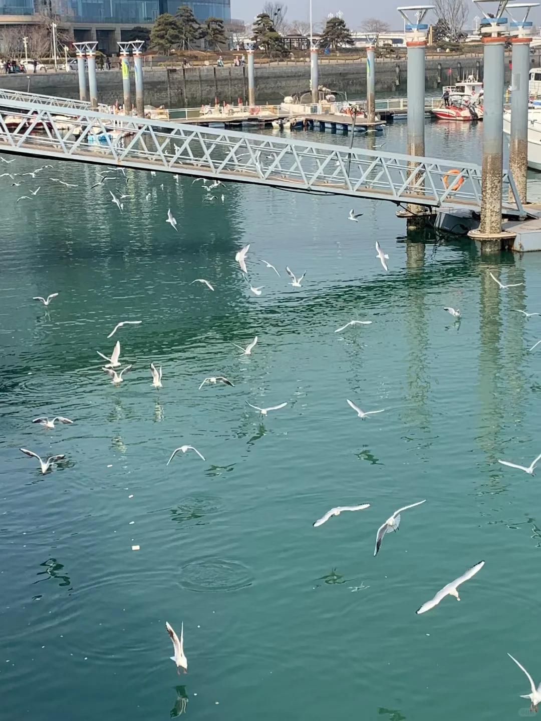 来日照 景点看这一张图就够啦🙌