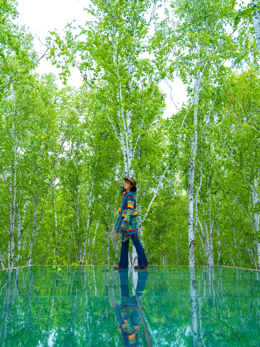 暑假的呼伦贝尔简直是人间理想