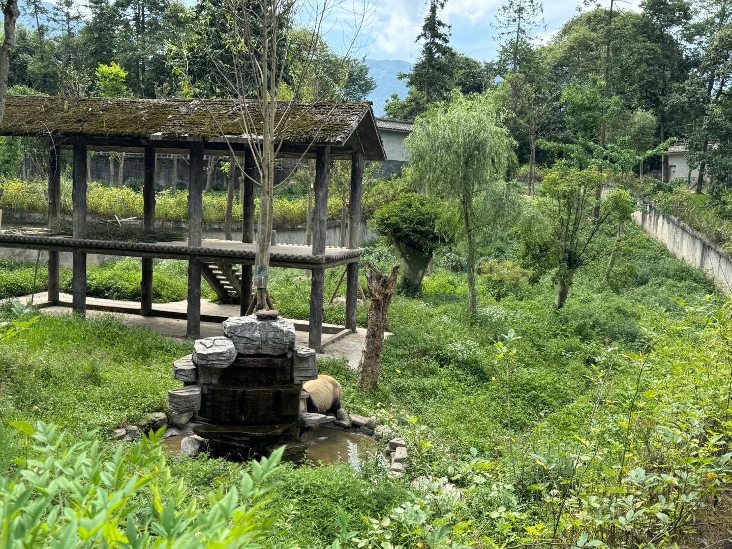 碧峰峡会惩罚每一个不做攻略的家长!