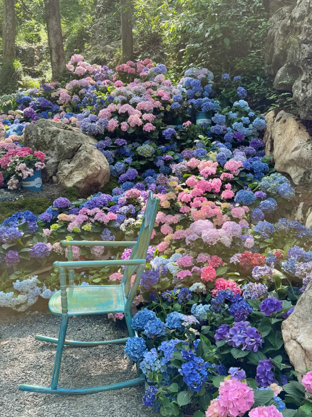 小红书跟风zui成功的一次🍃！！！