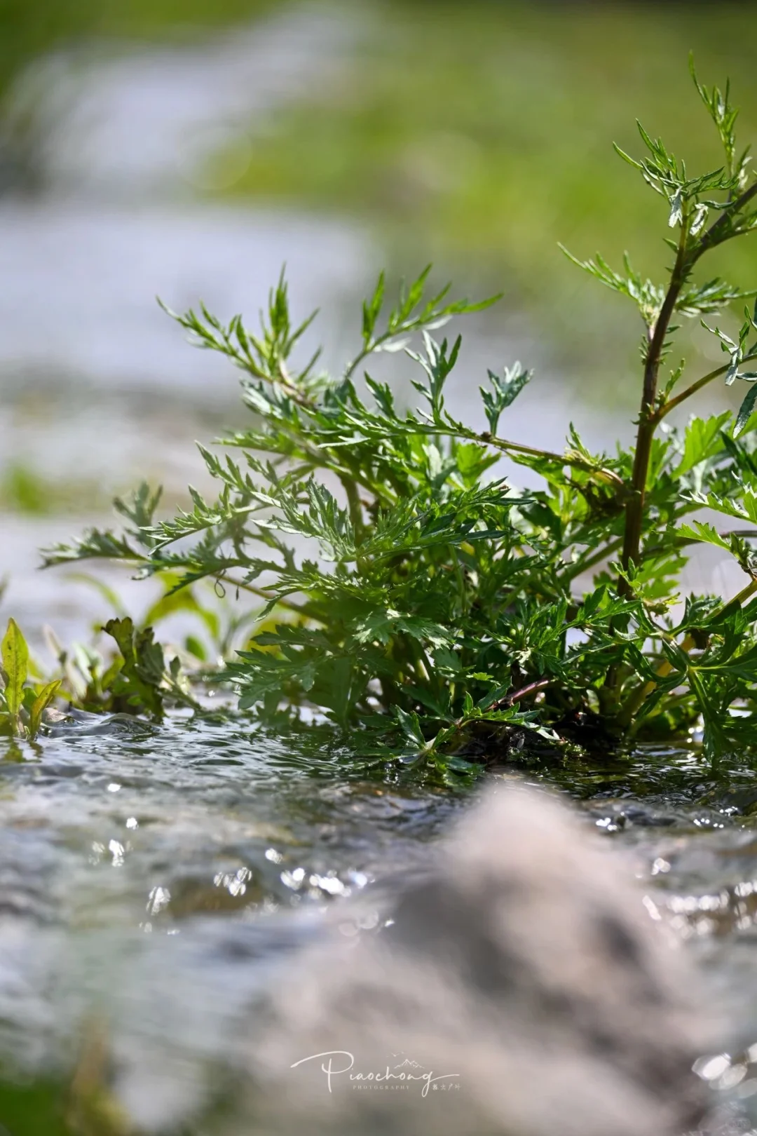 北京周边徒步|麻田岭