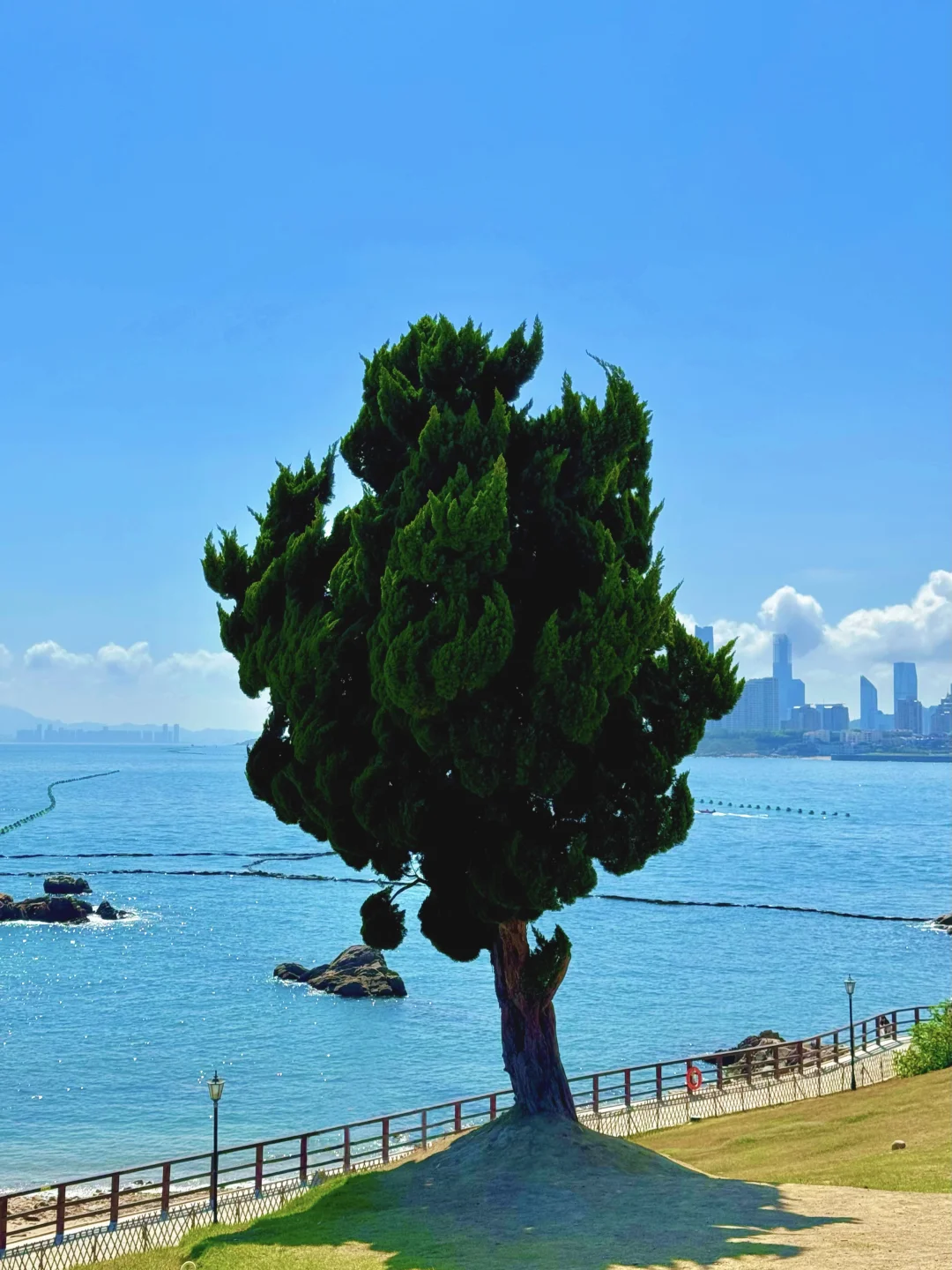 青岛三天真的能去20个地方被问疯‼️附路线