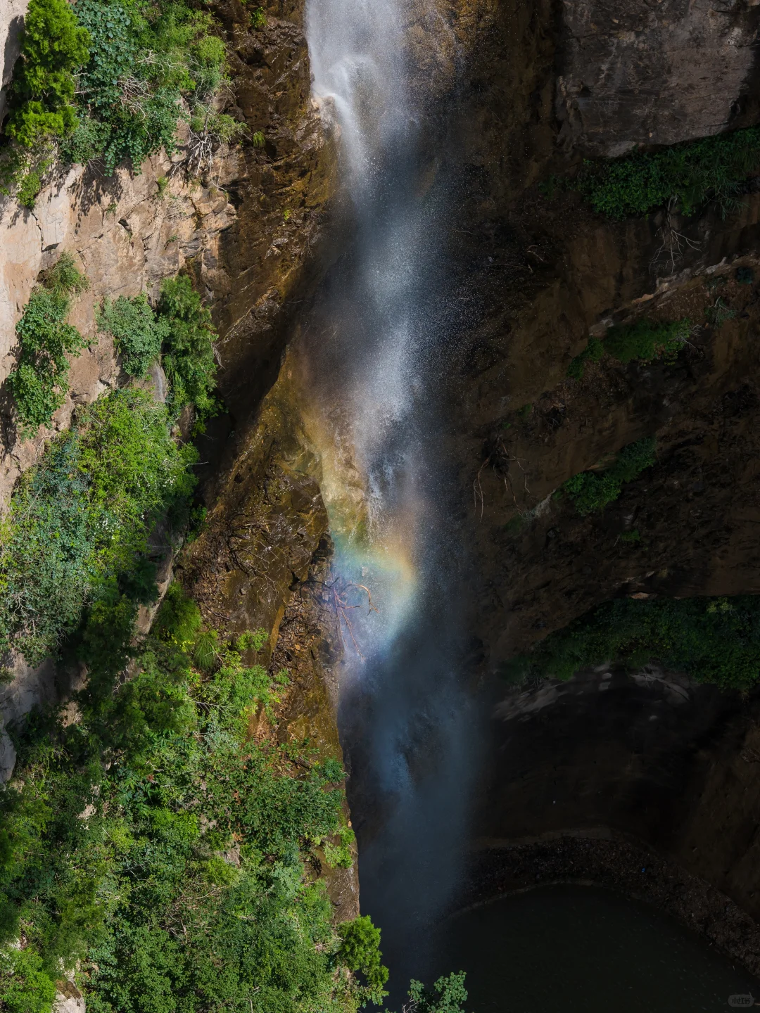 夏天请停止对我的“烤验”🍃深山避暑指南