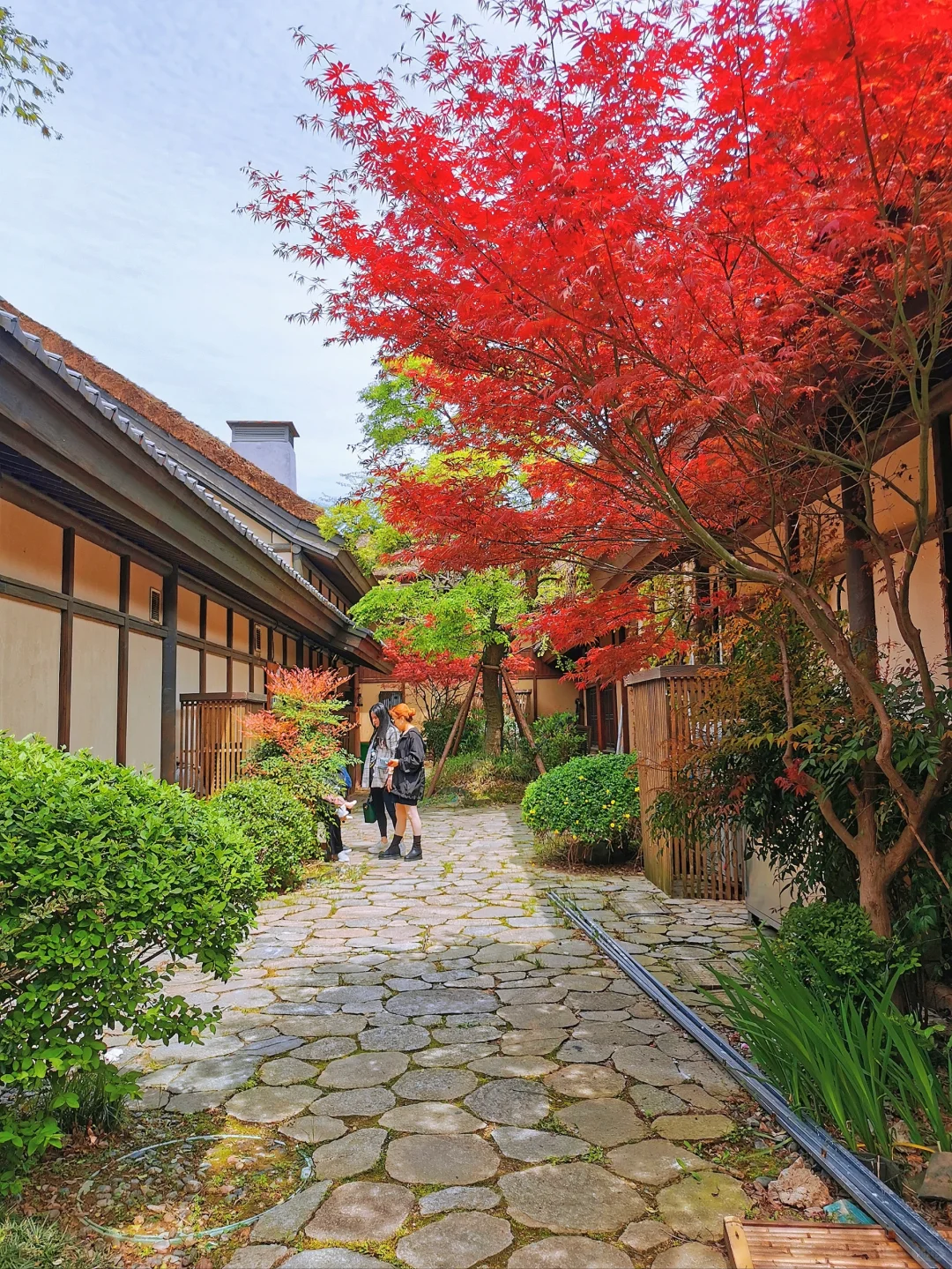 拈花湾，一个能让心栖息的地方