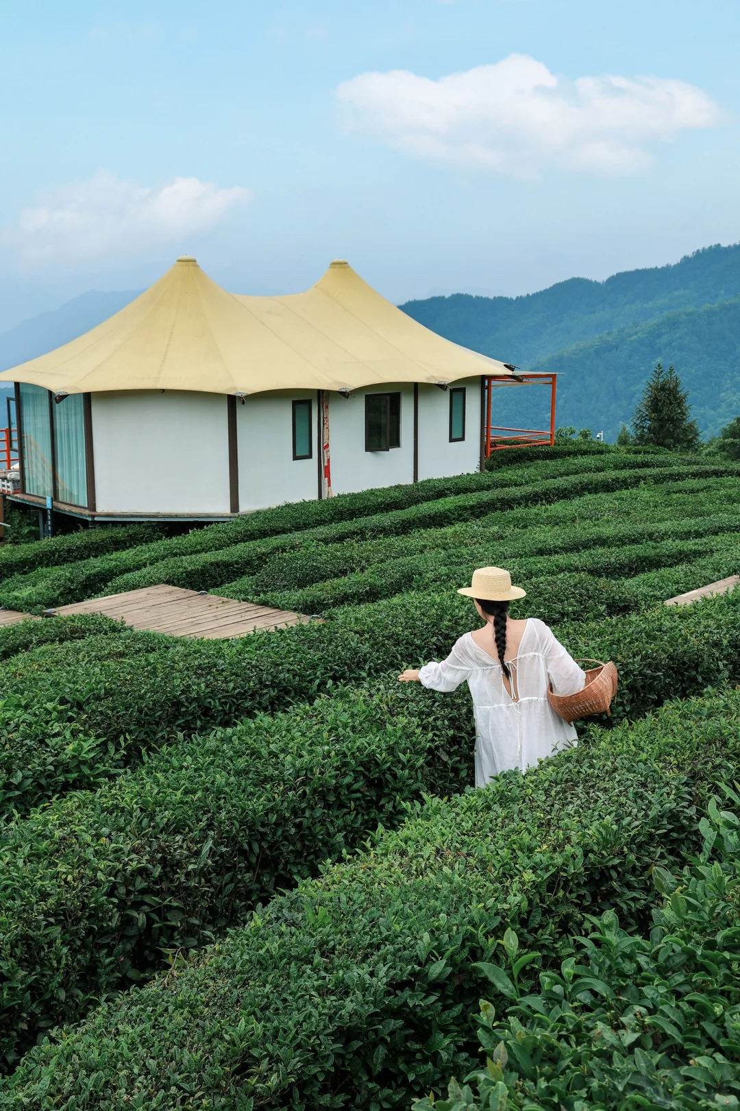 湖北夏天你不宣传这里😭真的被严重低估‼️