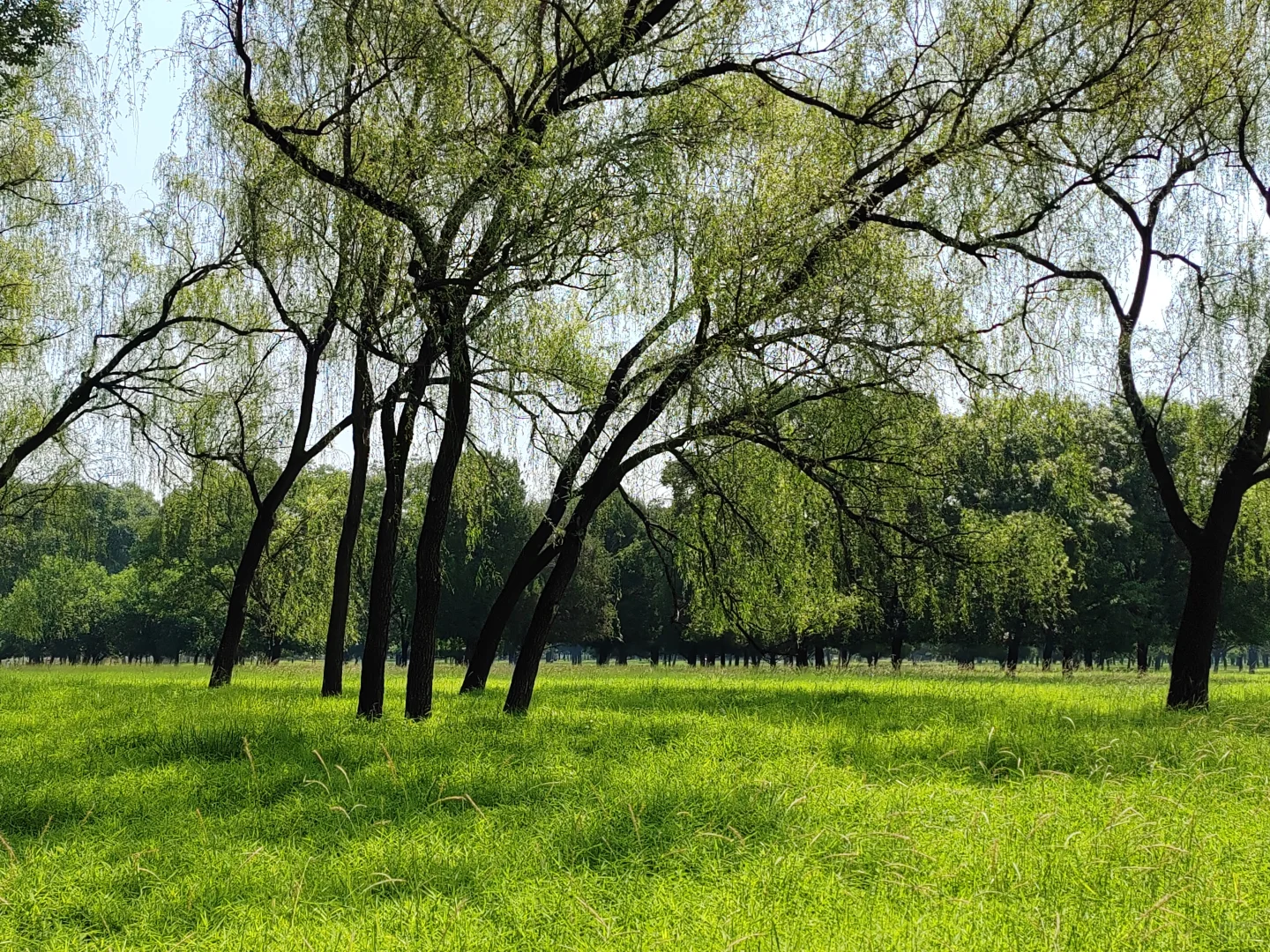 自驾游DAY8｜承德避暑山庄