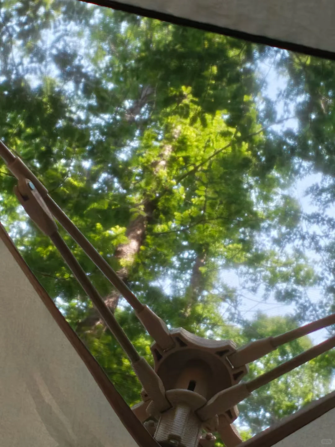 来日照 景点看这一张图就够啦🙌