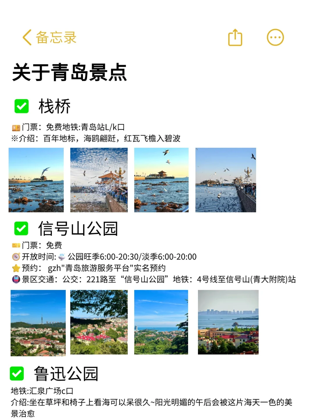 青岛本地人写的旅游攻略