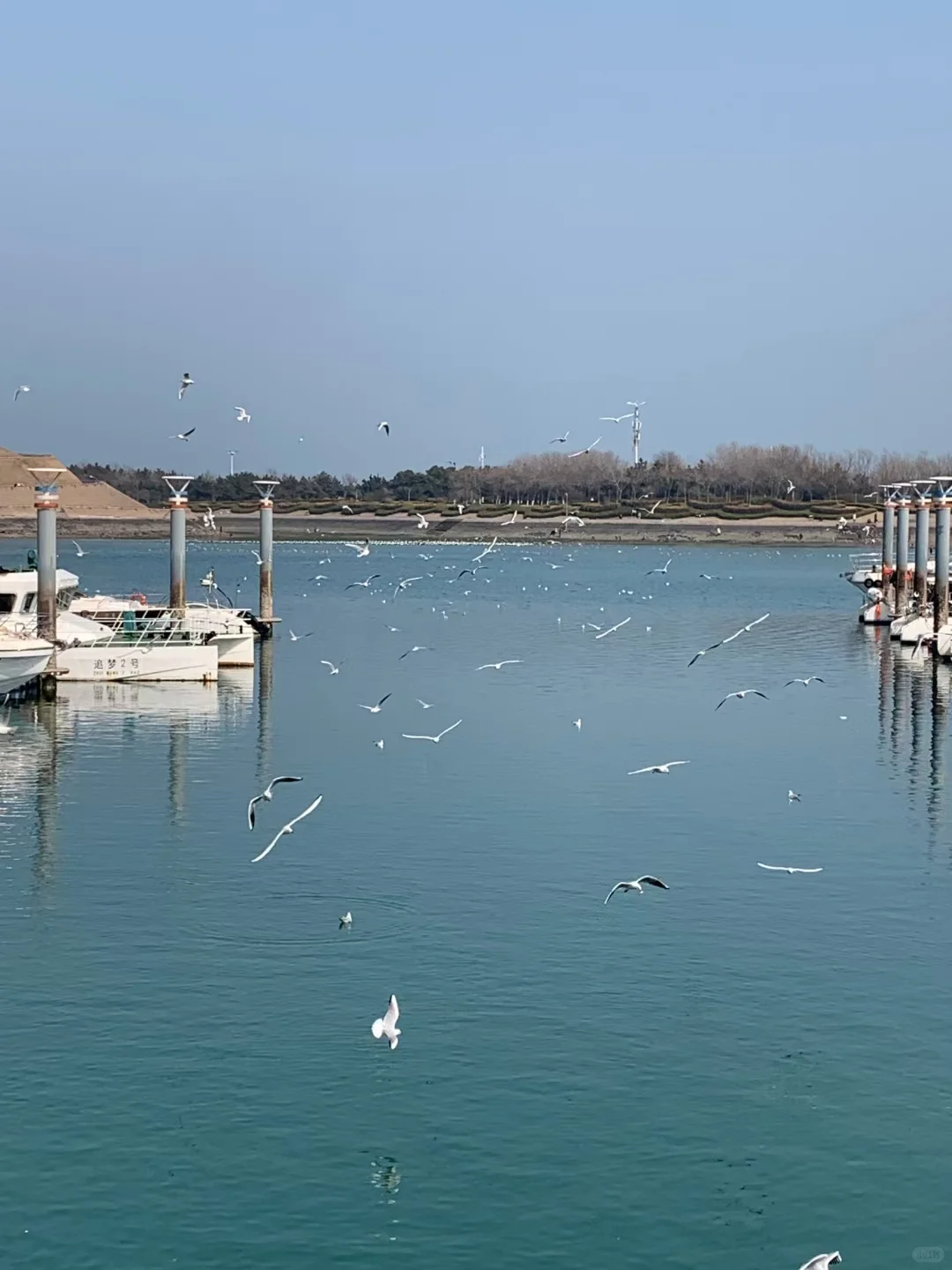 来日照 景点看这一张图就够啦🙌