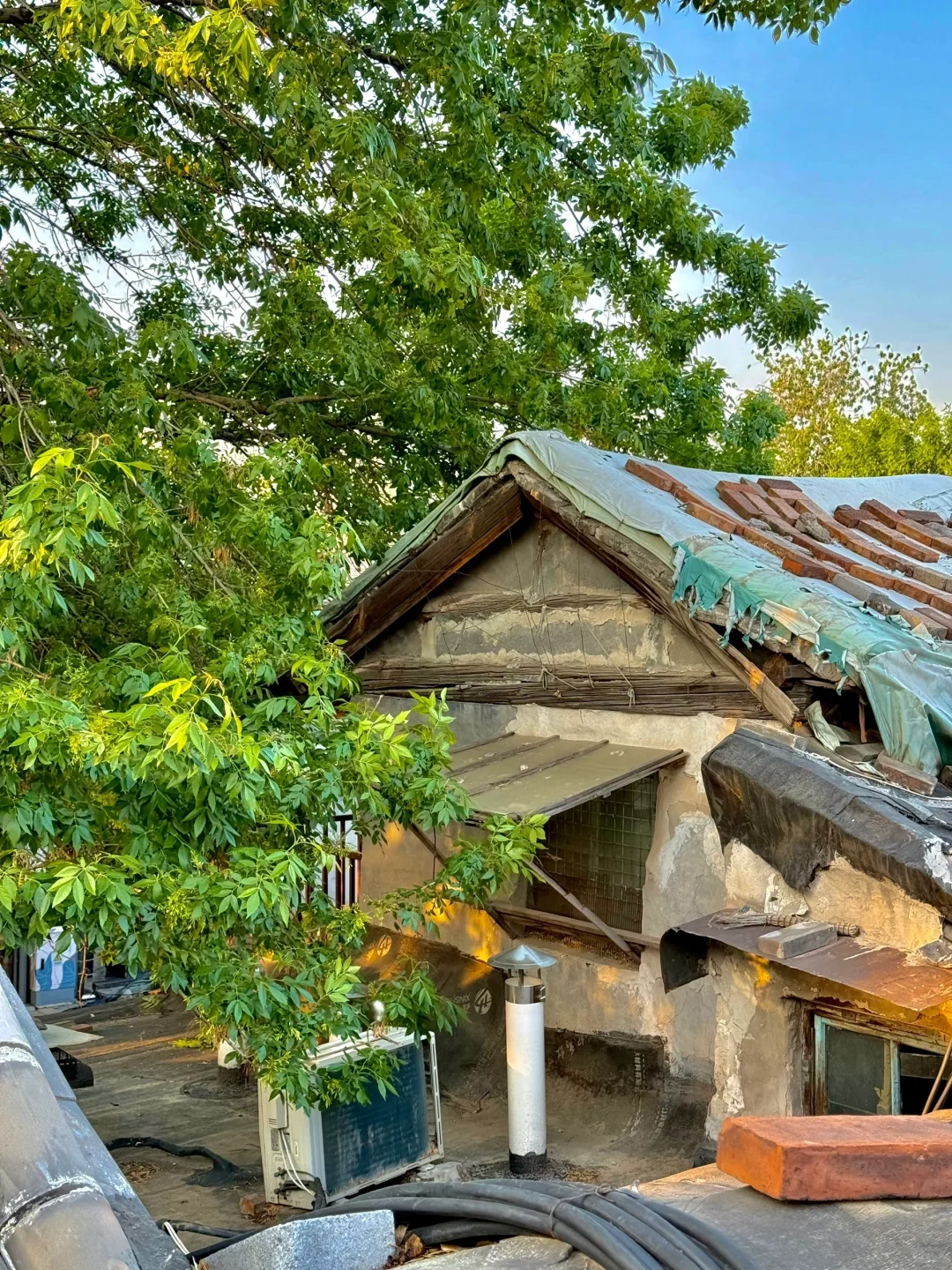 迄今为止最震撼的一条Citywalk路线出现了！
