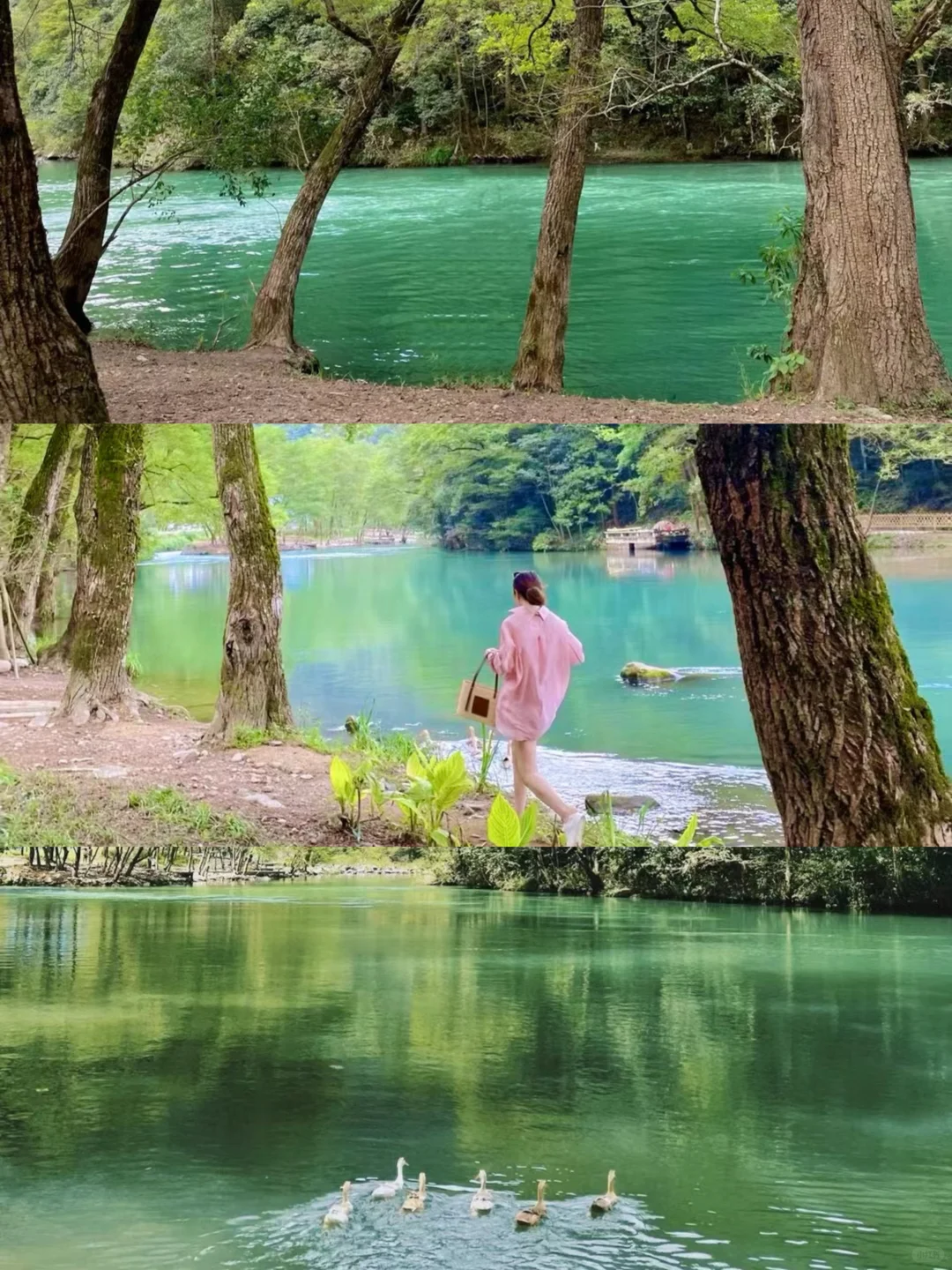 四明山｜很chill的一次玩水自驾游