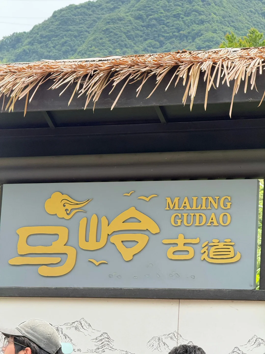 03女大📍桐庐/两天一夜精华版旅游攻略‼️