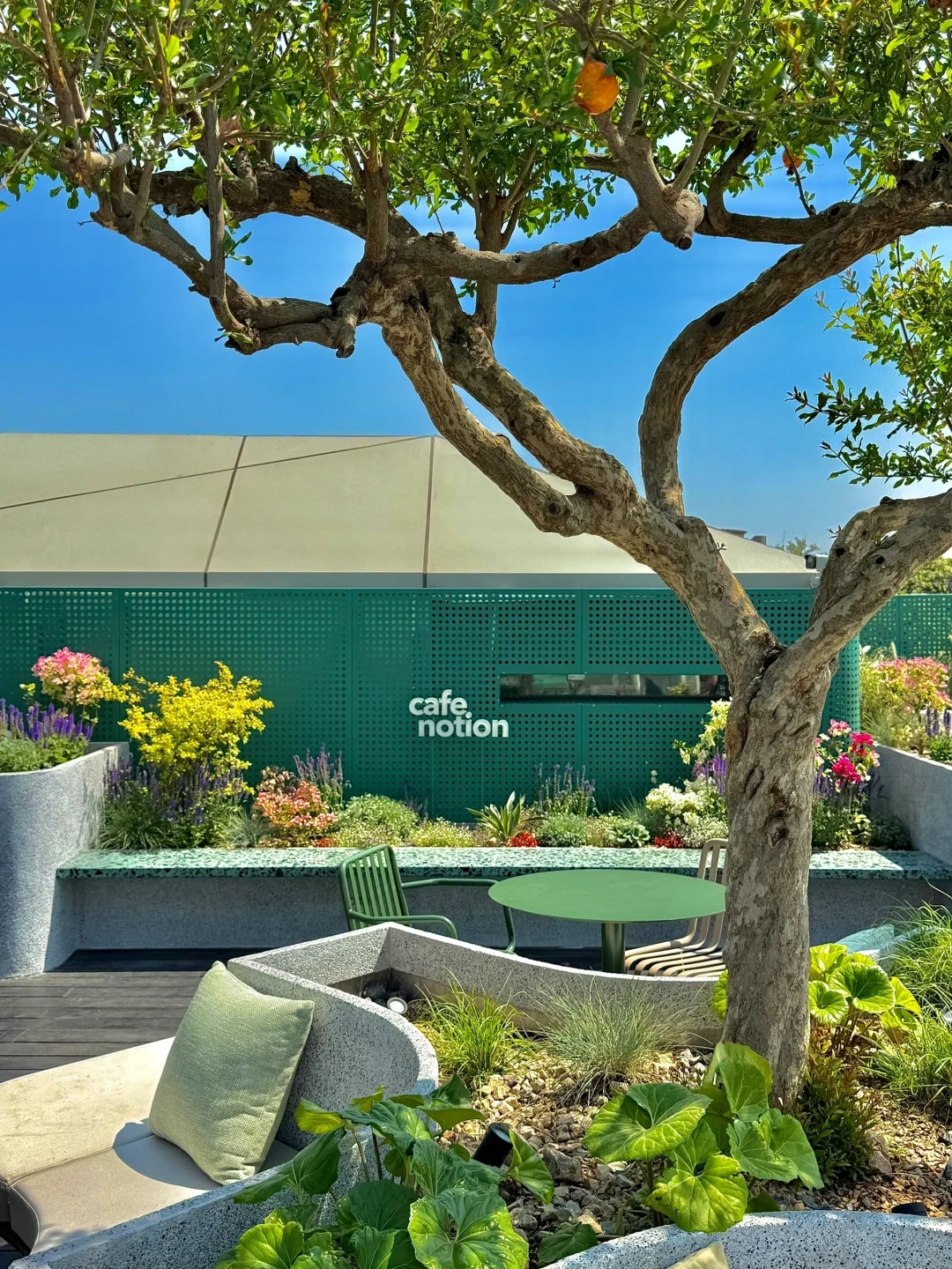 迄今为止最震撼的一条Citywalk路线出现了！