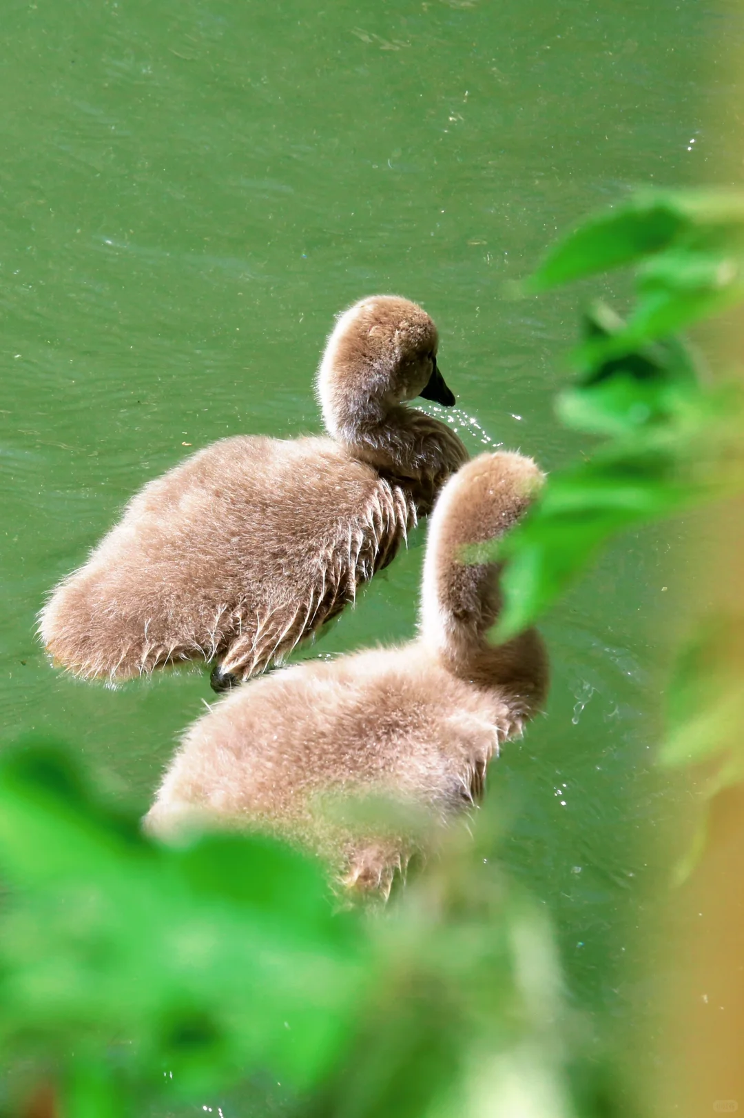 颐和园，太美了。