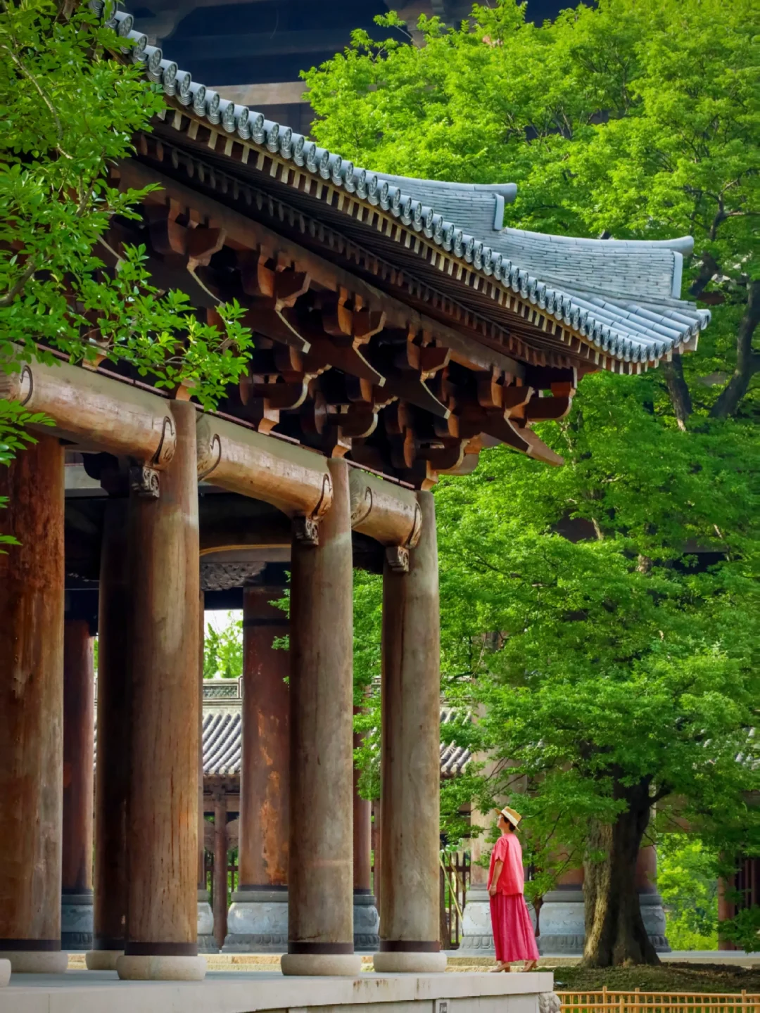 浙江丨你不宣传这个避暑古镇你糊涂啊…😭