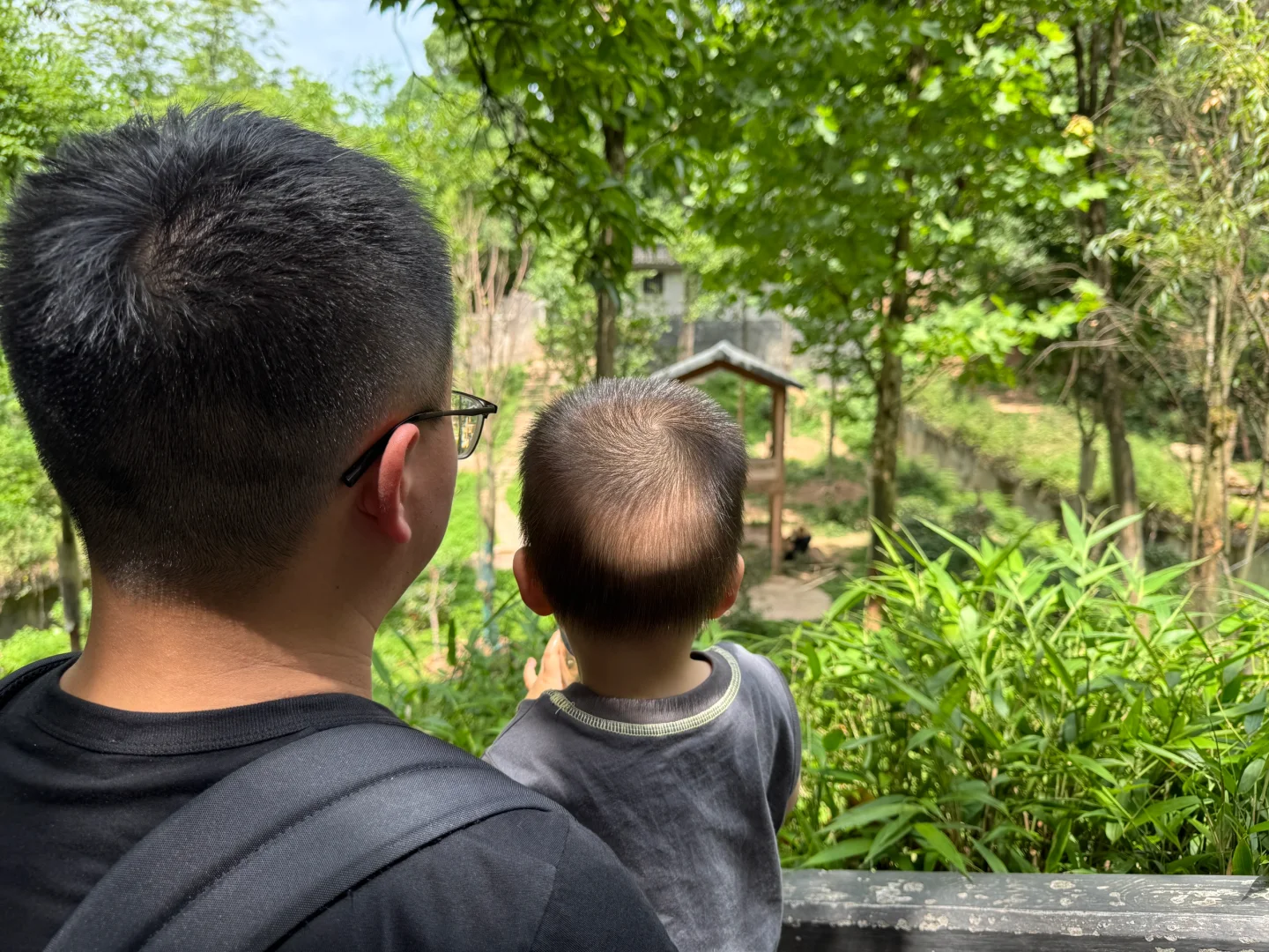 碧峰峡会惩罚每一个不做攻略的家长!