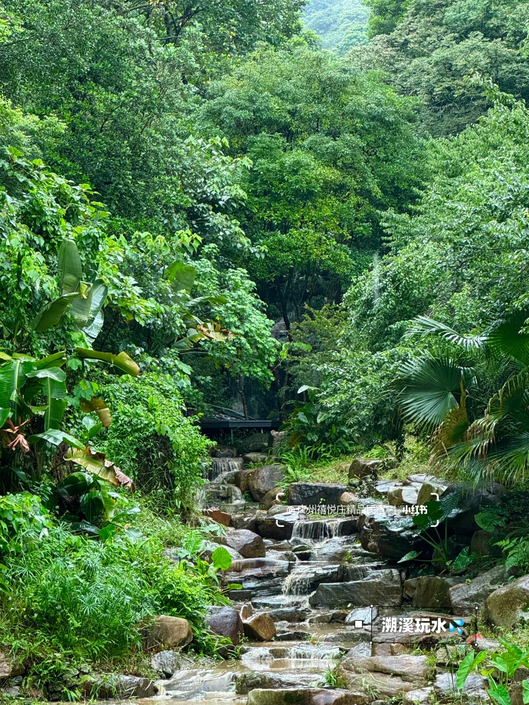 深圳1h，超适合遛娃的从化避世景区☁️🍃🌳