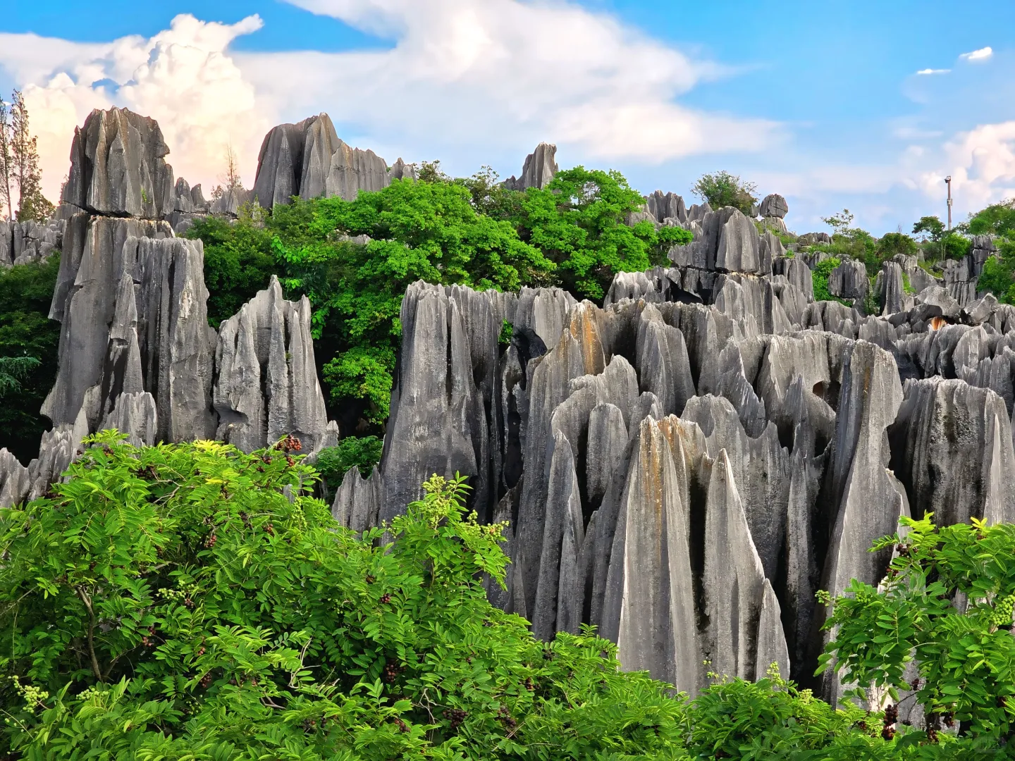 挑战全网最美石林|双彩虹下的阿诗玛🌈