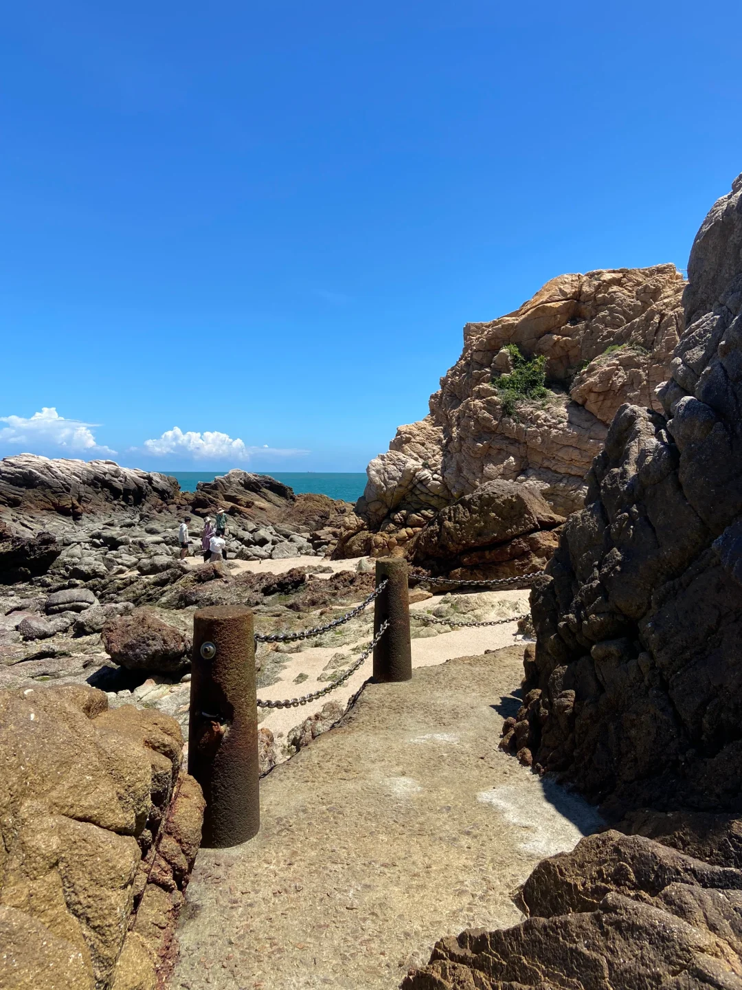 东山岛|为了这个🕳️花45🎫去探索不一样的海