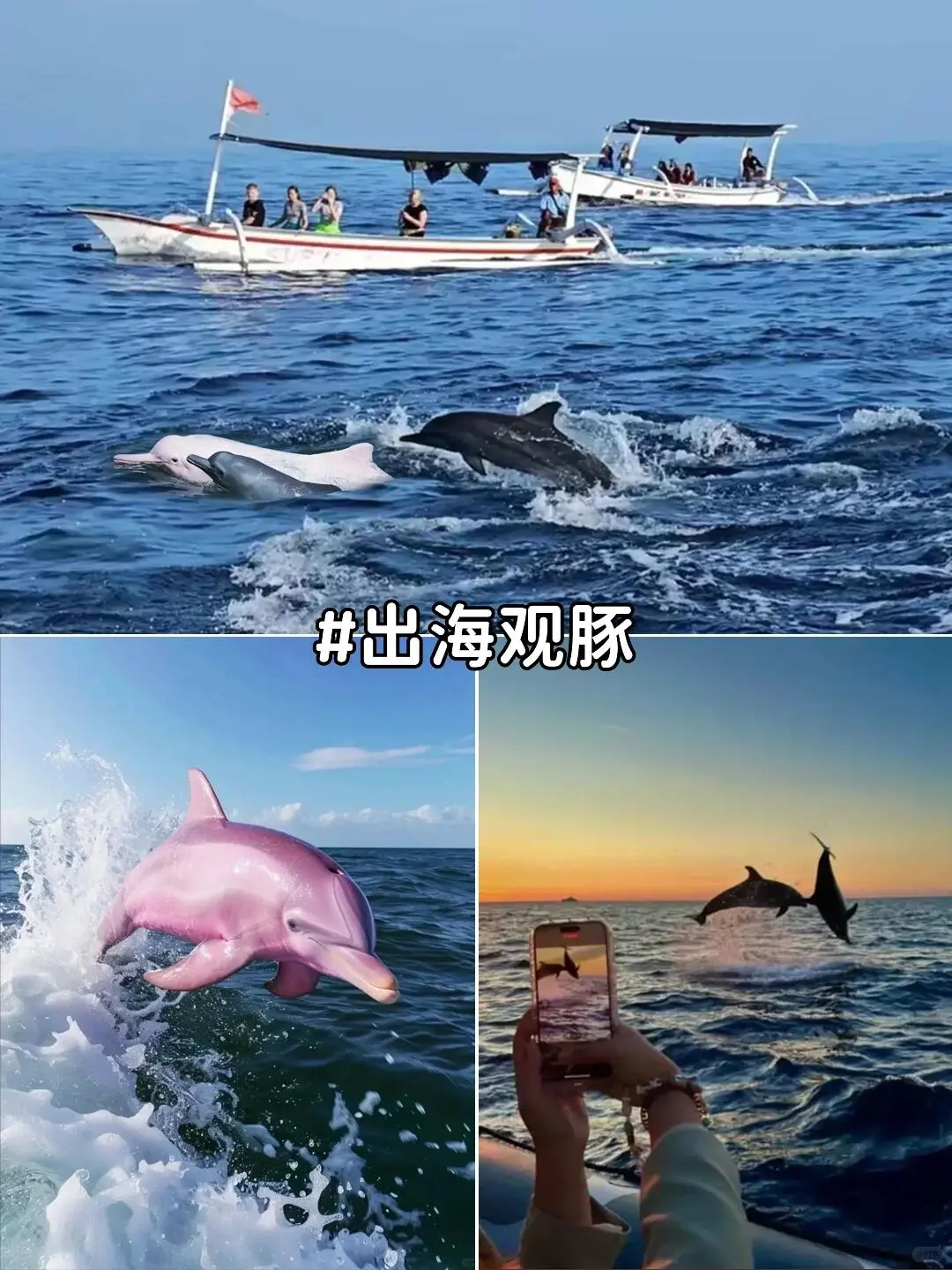 以为桂林够美了，直到带娃来了广西崇左🌴