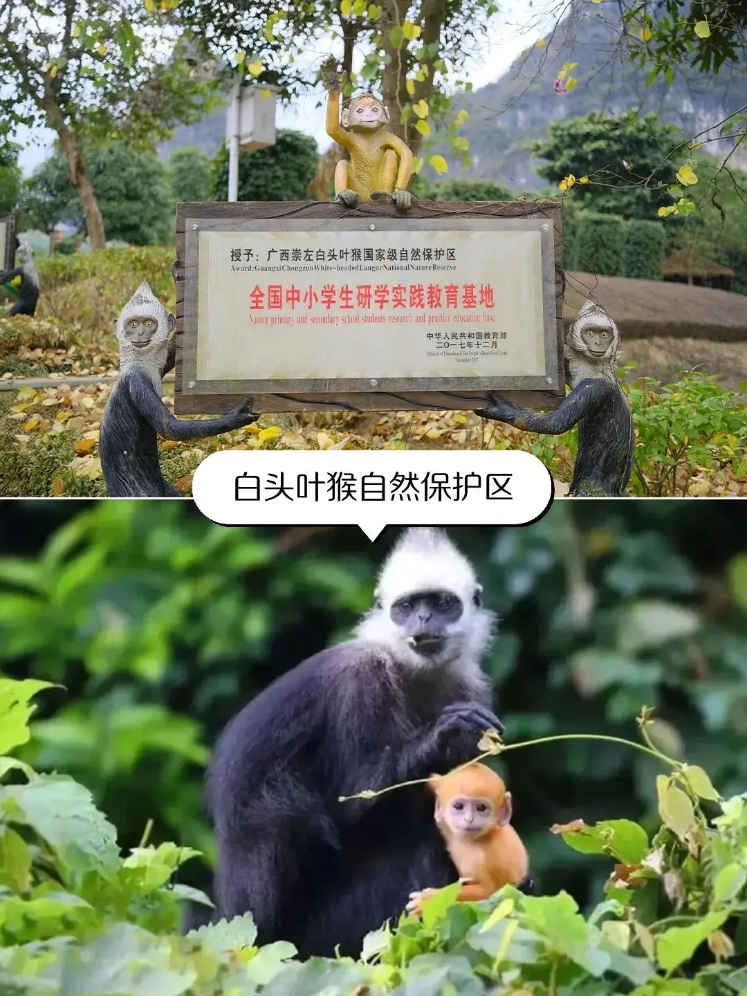 以为桂林够美了，直到带娃来了广西崇左🌴