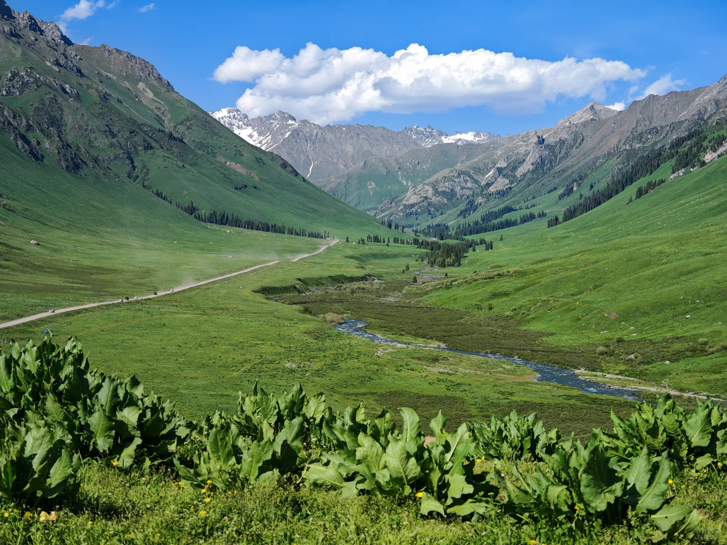 孟克特古道｜唐布拉让人又爱又恨的景区