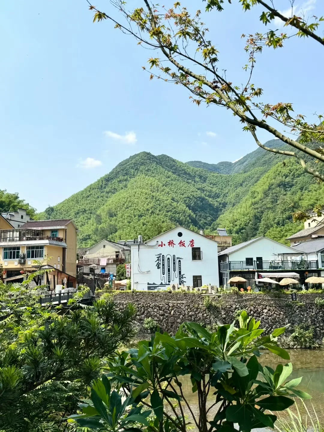 03女大📍桐庐/两天一夜精华版旅游攻略‼️