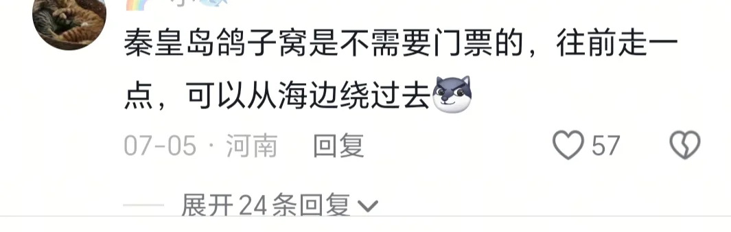 这才是真正的旅游攻略！