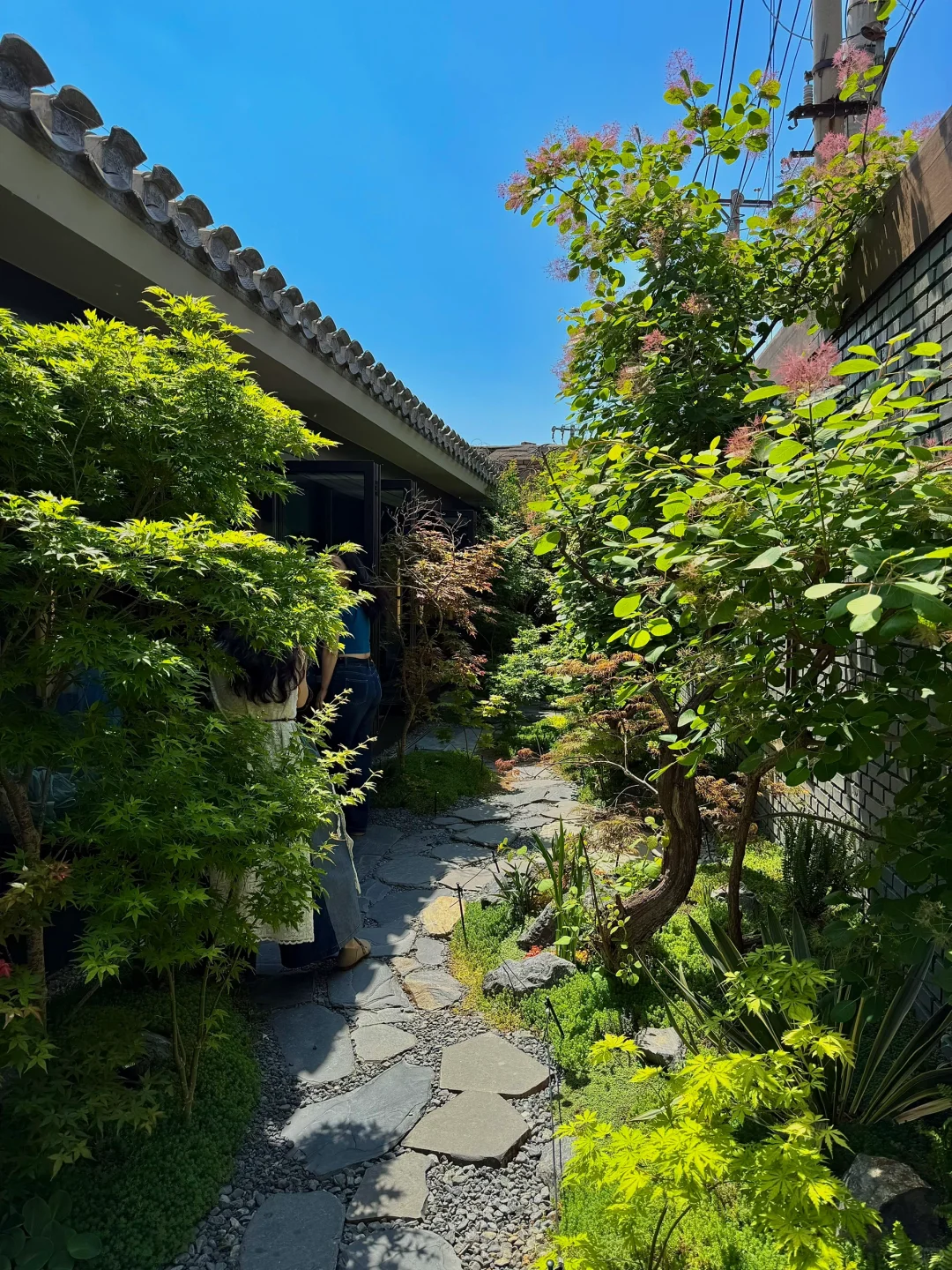 迄今为止最震撼的一条Citywalk路线出现了！