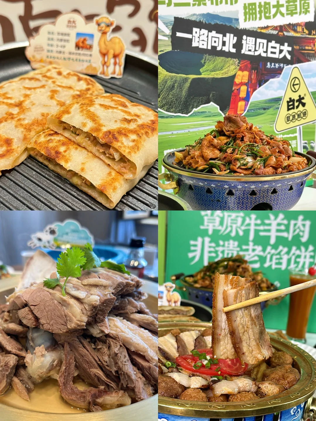 为了这❶❽张图，我特意去了趟呼和浩特！附机位