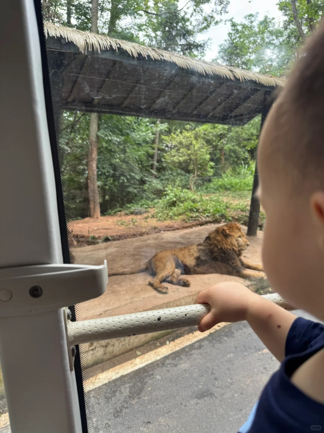 碧峰峡会惩罚每一个不做攻略的家长!