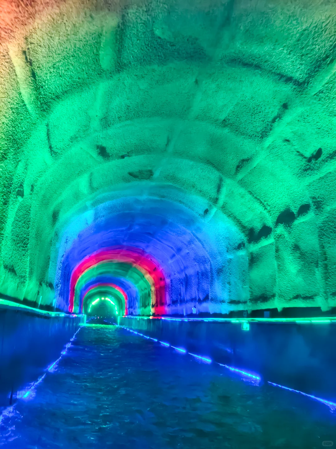 三刷朝天吼刚回‼️漂流攻略看这一篇就够了