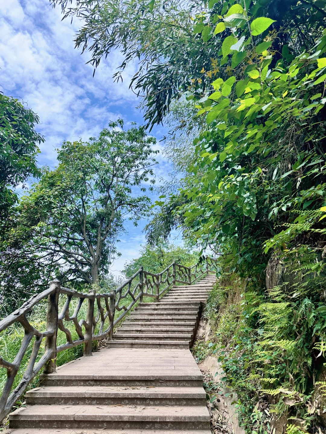 📍雅安·蒙顶山||茶韵千年，云游蒙顶