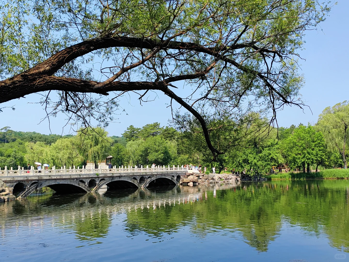 自驾游DAY8｜承德避暑山庄