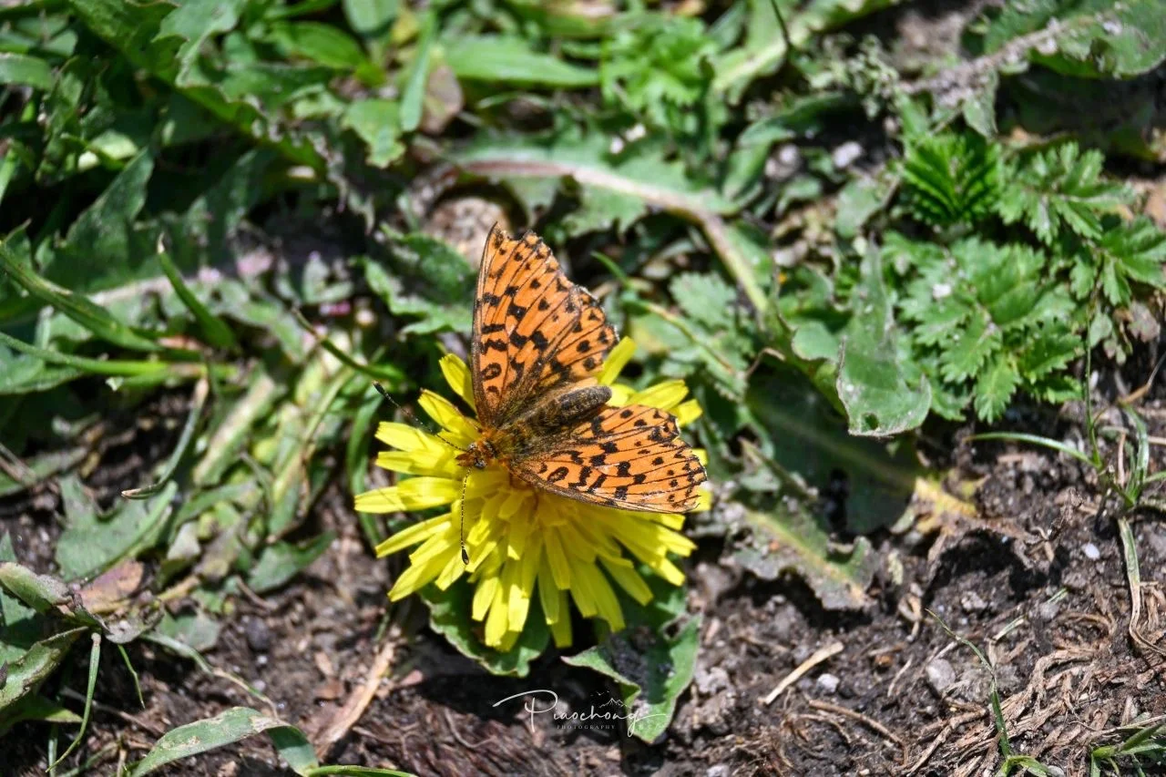 北京周边徒步|麻田岭